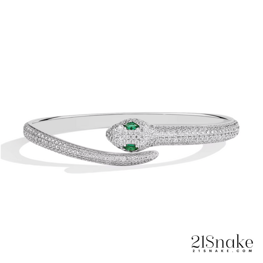 21Snake™️ Moissanite Bracelets